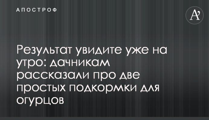 Результат побачите вже на ранок: дачникам розповіли про два простих підживлення для огірків