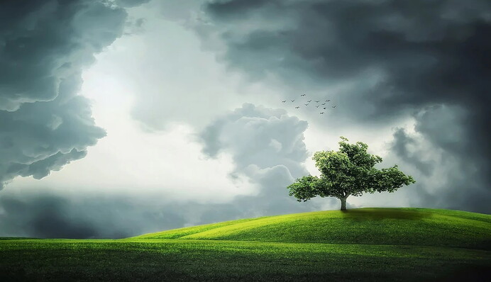 Погода в Україні в серпні: де буде найбільше "пекло" і найбільше дощів