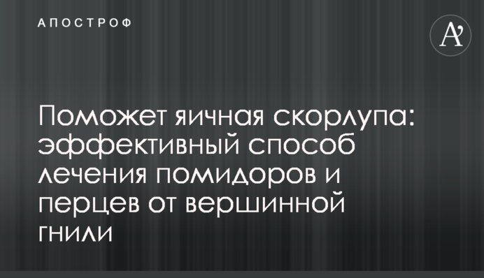 Поможет яичная скорлупа: эффективный способ лечения помидоров и перцев от вершинной гнили