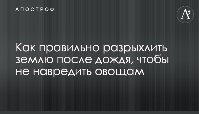 Як правильно розпушити землю після дощу, щоб не нашкодити овочам