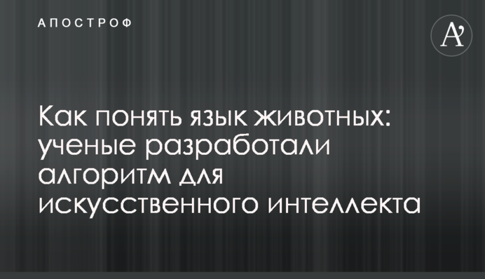 Як зрозуміти мову тварин: вчені розробили алгоритм для штучного інтелекту