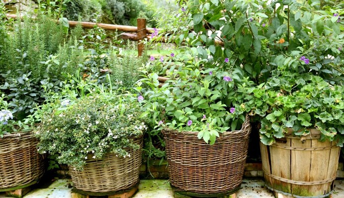 Как разбить огород, если места очень мало: 9 интересных лайфхаков