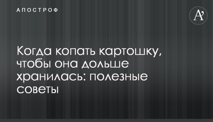 Коли копати картоплю, щоб вона довше зберігалася: корисні поради