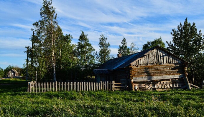 Нація в лайні, а правитель – на коні: усе, що треба знати про 