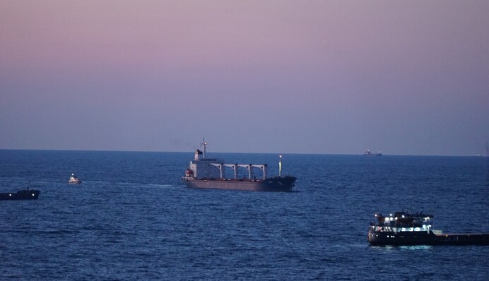 Перший зерновоз з українською кукурудзою досяг узбережжя Туреччини