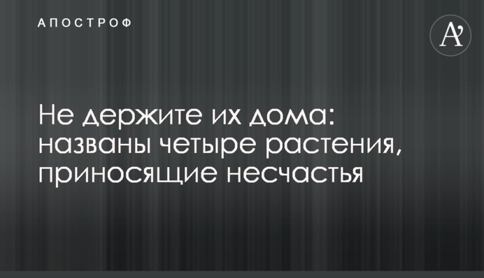 Не держите их дома: названы четыре растения, приносящие несчастья