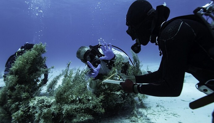 Золотые цепочки и китайский фарфор: на Багамах нашли сокровища легендарного кораблекрушения XVII века
