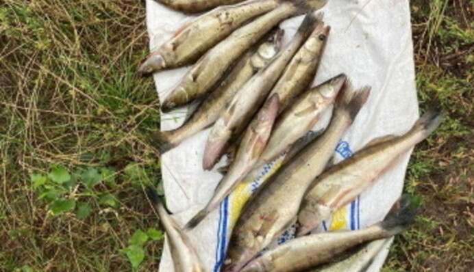 Дешевше було купити: риболовля на Київському морі дуже дорого обійшлася горе-рибалці