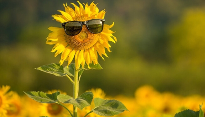 После ливней - жара +34: прогноз погоды в Украине на конец недели