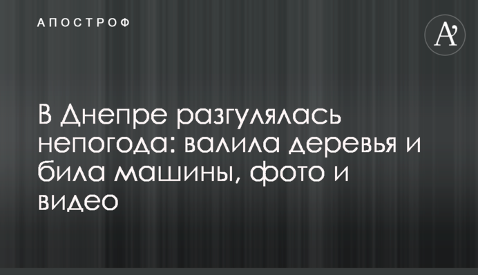 У Дніпрі розгулялася негода: валила дерева та била машини, фото та відео