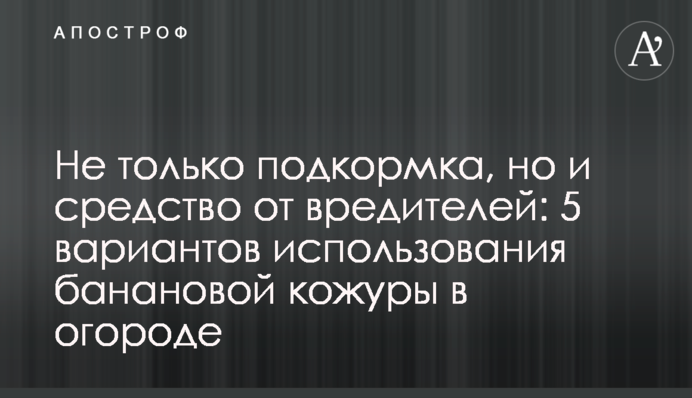 Не тільки підживлення, а й засіб від шкідників: 5 варіантів використання бананової шкірки на городі