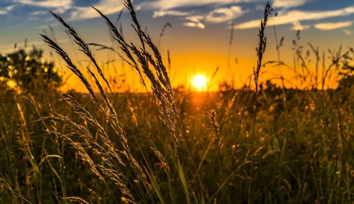 У серпні в Україні очікуються погодні 