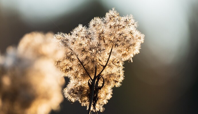 Спека в Україні різко спаде, але не скоро: названо точні дати