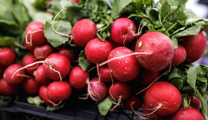 Як і коли садити редис у серпні, щоб зібрати восени великий урожай