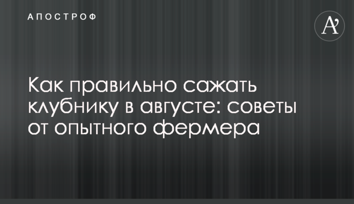 Как правильно сажать клубнику в августе: советы от опытного фермера