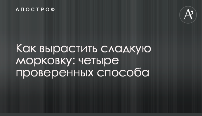 Як виростити солодку моркву: чотири перевірені способи