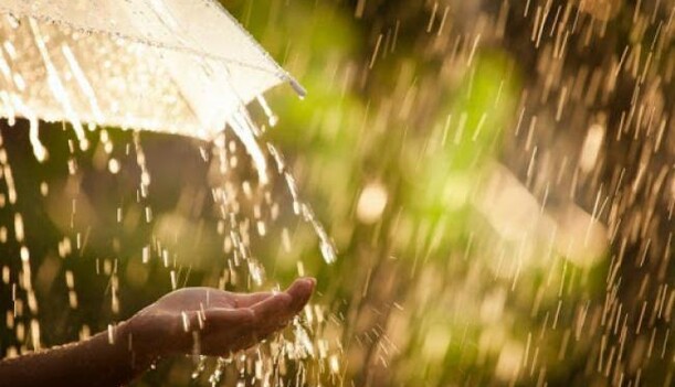 Замочить та підсмажить: народний синоптик дав прогноз погоди на найближчі сім днів