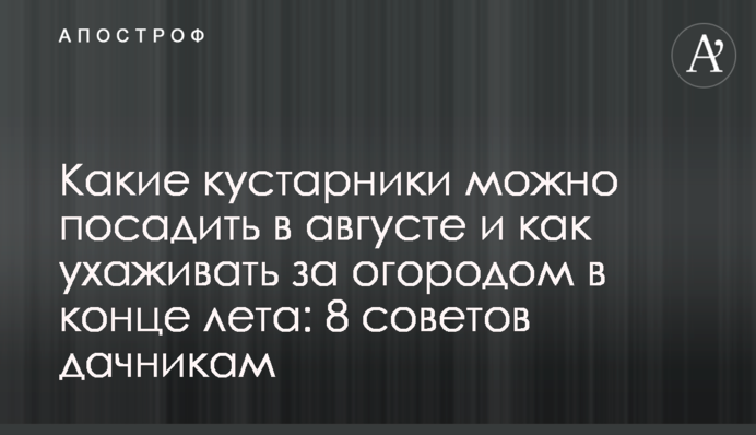Які кущі можна посадити в серпні і як доглядати город наприкінці літа: 8 порад дачникам