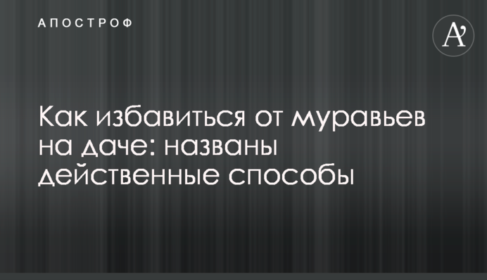 Як позбутися мурах на дачі: названо дієві способи