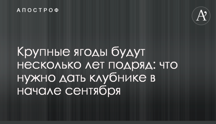Великі ягоди будуть кілька років поспіль: що потрібно дати полуниці на початку вересня