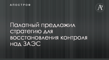 Палатний запропонував стратегію відновлення контролю над ЗАЕС