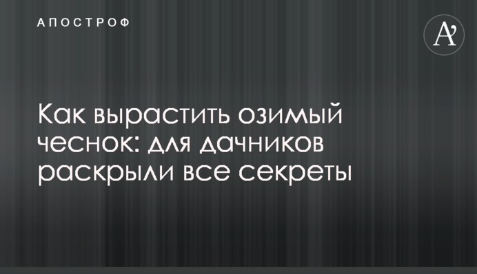 Як виростити озимий часник: для дачників розкрили всі секрети