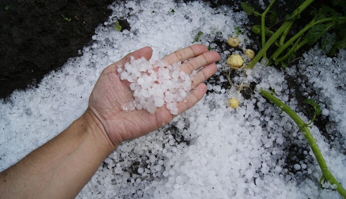 Синоптики объявили 1-й уровень опасности в Украине: какой будет погода 13 августа