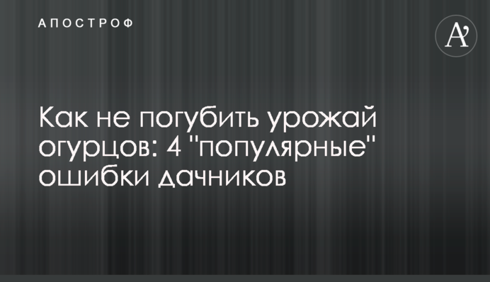 Как не погубить урожай огурцов: 4 