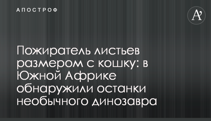 Пожиратель листьев размером с кошку: в Южной Африке обнаружили останки необычного динозавра