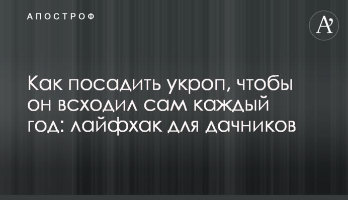 Как посадить укроп, чтобы он всходил сам каждый год: лайфхак для дачников