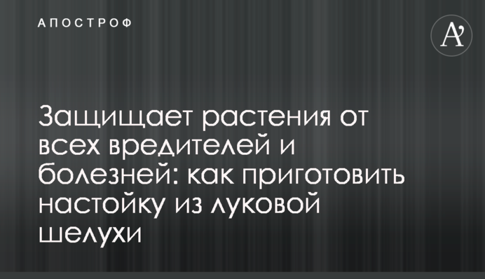 Захищає рослини від усіх шкідників і хвороб: як приготувати настоянку з лушпиння цибулі