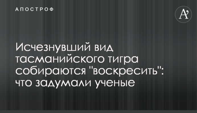 Исчезнувший вид тасманийского тигра собираются 