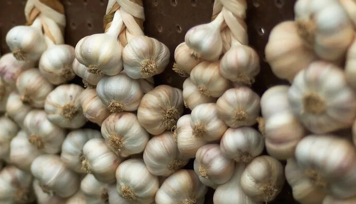 Не прогниет и не прорастет: как правильно хранить чеснок в доме