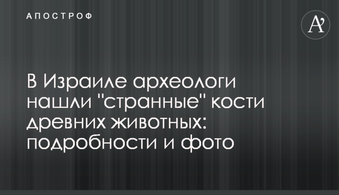 В Израиле археологи нашли 