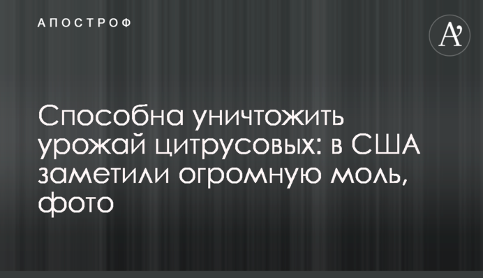 Здатна знищити врожай цитрусових: у США помітили величезну міль