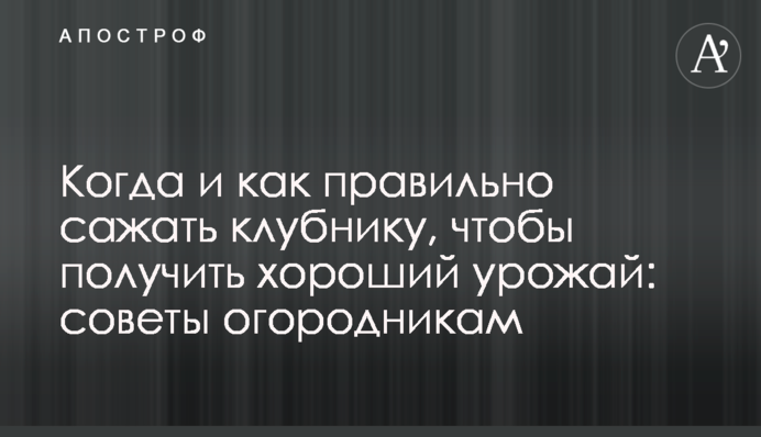 Коли і як правильно саджати полуницю, щоб отримати добрий урожай: поради городникам