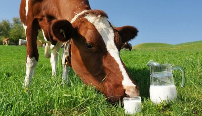 День апостола Матфея: что нельзя делать в праздник