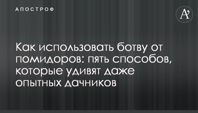 Как использовать ботву от помидоров: пять способов, которые удивят даже опытных дачников