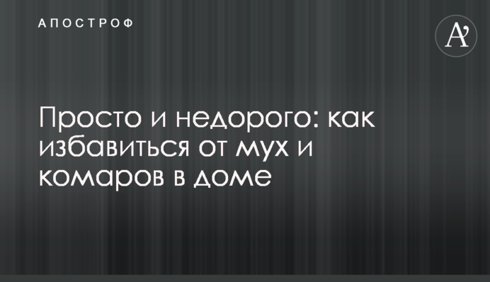 Просто и недорого: как избавиться от мух и комаров в доме