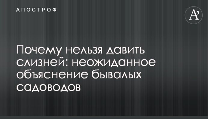 Чому не можна давити слимаків: несподіване пояснення бувалих садівників