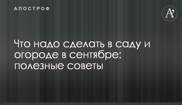 Що треба зробити в саду та городі у вересні: корисні поради