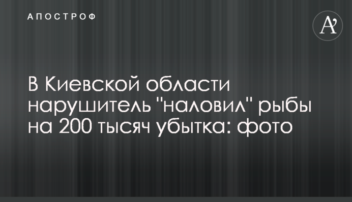 На Київщині порушник 