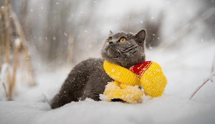 В Украине резко меняется климат и растет температура: когда зимой будем ходить в майках