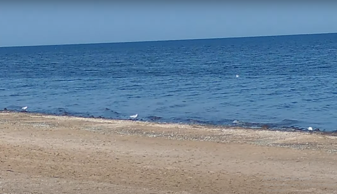 Життя зупинилося: відео 