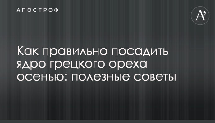 Як правильно посадити ядро волоського горіха восени: корисні поради