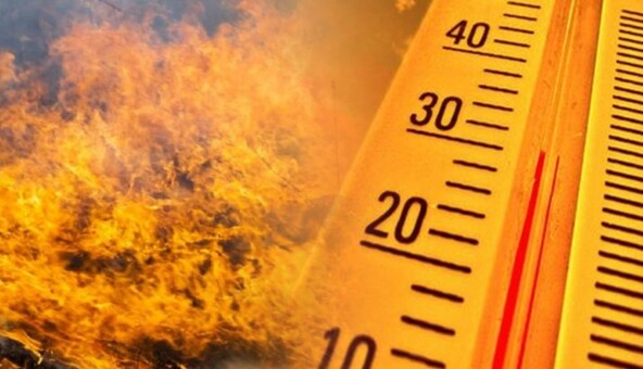 У Києві запровадили надзвичайний рівень пожежної небезпеки: що не можна робити до 5 вересня