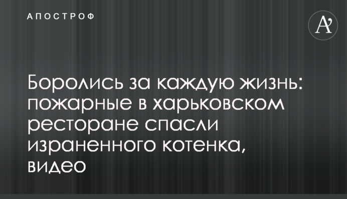 Боролись за каждую жизнь: пожарные в харьковском ресторане спасли израненного котенка, видео