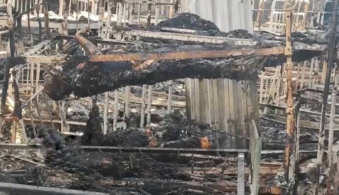 Омбудсмен объяснил, когда оккупанты пустят Красный Крест на место гибели 