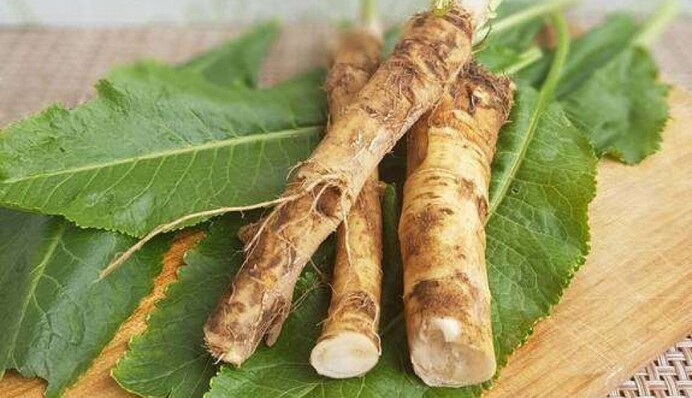 Когда осенью лучше копать хрен и как правильно хранить