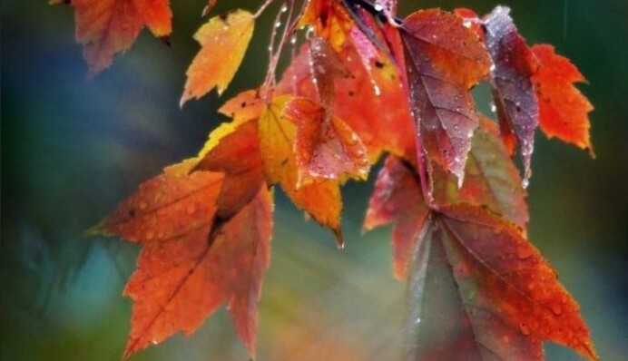 Будет заливать три дня: на Украину надвигаются мощные грозы, карта и даты